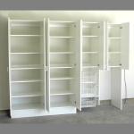 Adjustable Shelving with Doors